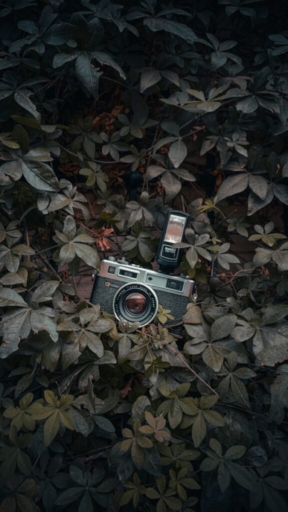 Creador visual Barcelona